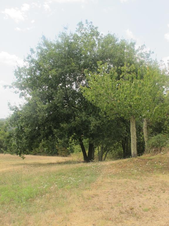 Mozzafiato Pitigliano Lejlighed Eksteriør billede