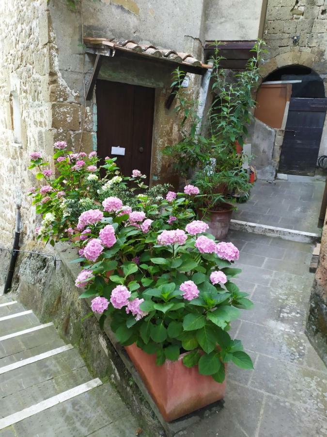Mozzafiato Pitigliano Lejlighed Eksteriør billede